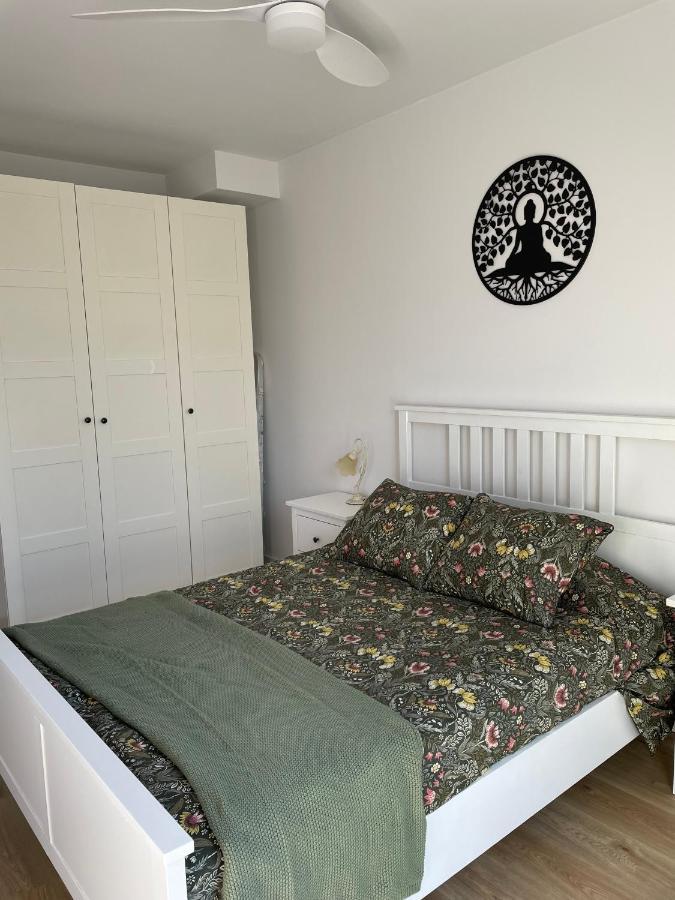 Acogedor Apartamento Vallparadis Con Parking Terrassa Eksteriør billede